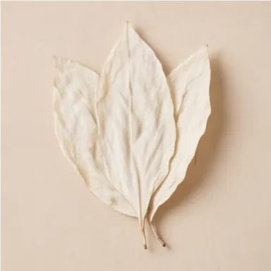 White Tobacco