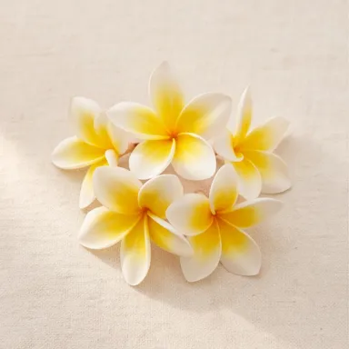 Frangipani