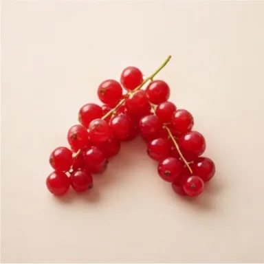 Red Berries