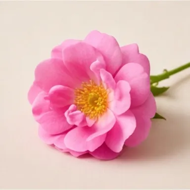 Wild Rose