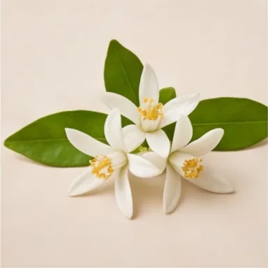 Neroli