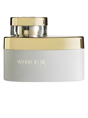 What Else Women by A.P. Durand Parfums