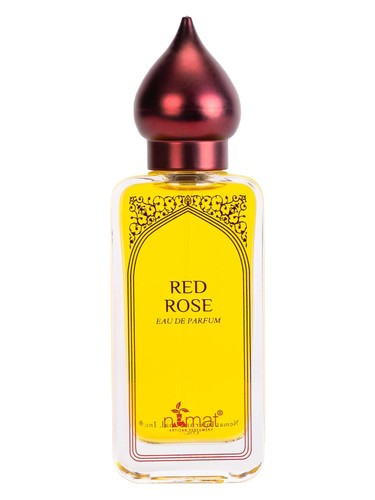 Red Rose by Nemat International
