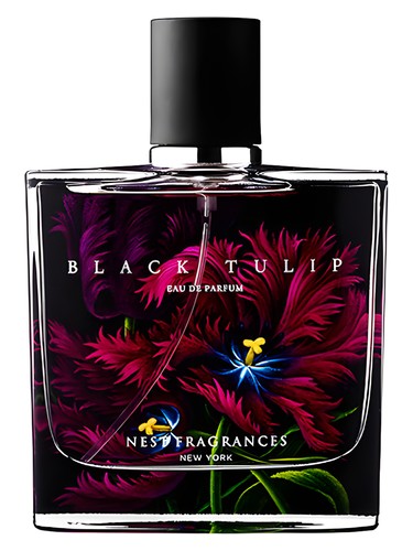 Black Tulip by Nest