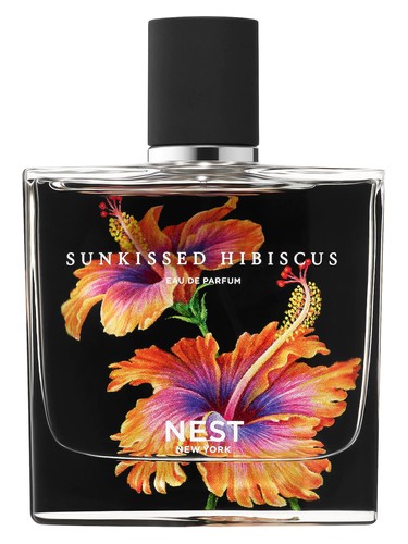 Sunkissed Hibiscus by Nest
