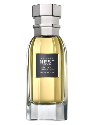 Opulent Osmanthus by Nest