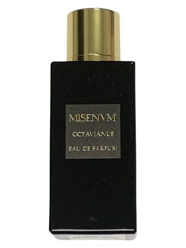 Octavianus by Misenum