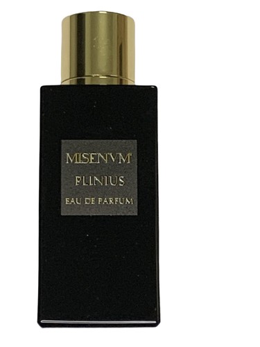 Plinius by Misenum