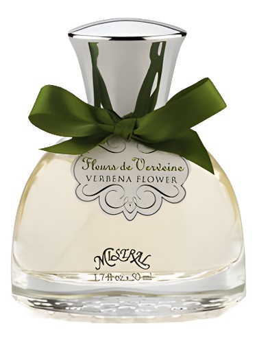 Verbena Flower by Mistral