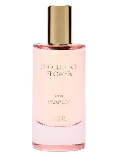 Succulent Flower by Zara