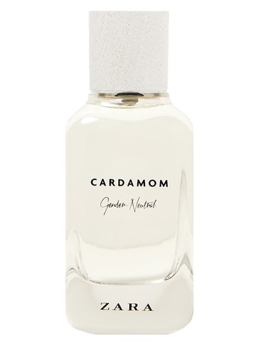 Cardamom - Gender Neutral by Zara