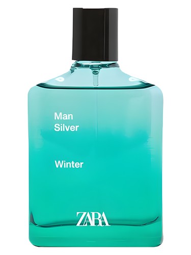 Man Silver Winter by Zara
