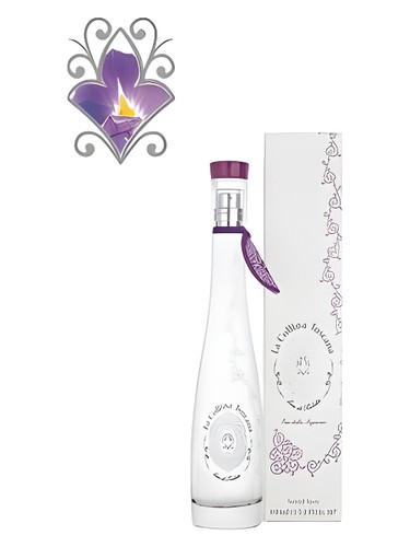 Iris of the Signory by La Collina Toscana