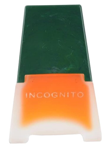 Incognito by Dana