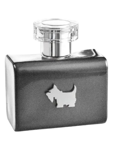 Terrier Grey by Ferrioni