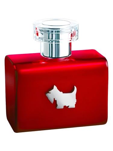 Terrier Red by Ferrioni