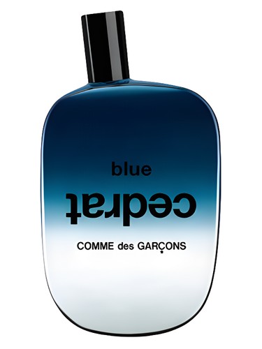 Blue Cedrat by Comme des Garcons