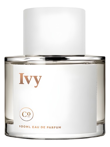 Ivy by Commodity