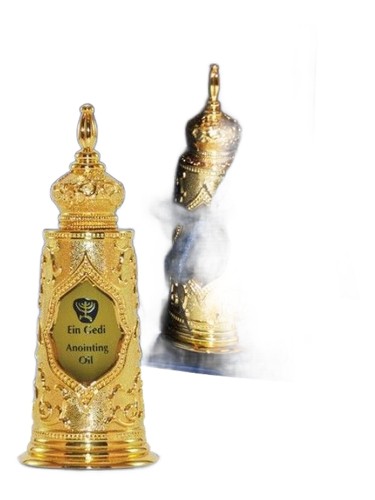 Light of Jerusalem Gold Torah by Ein Gedi