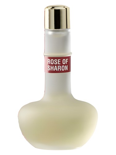 Rose of Sharon by Ein Gedi