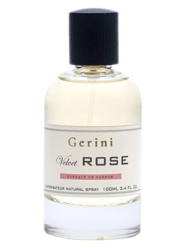 Velvet Rose by Gerini