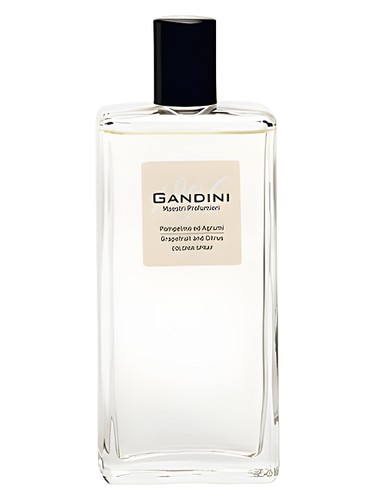 Grapefruit and Citrus by Gandini 1896