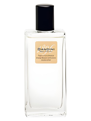 Orange Blossom and Leaf by Gandini 1896