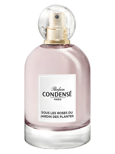 Sous les Roses du Jardin des Plantes by Condensé Paris
