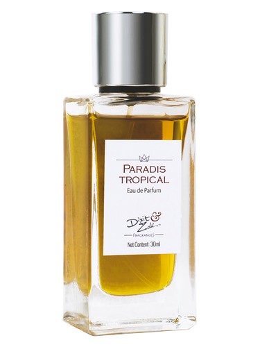 Paradis Tropical by Dixit & Zak