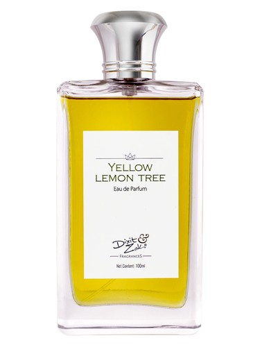 Yellow Lemon Tree by Dixit & Zak