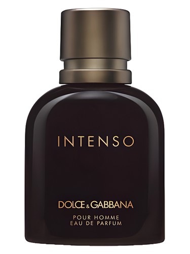 Pour Homme Intenso by Dolce&Gabbana
