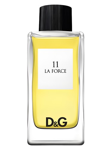 D&G Anthology La Force 11 by Dolce&Gabbana