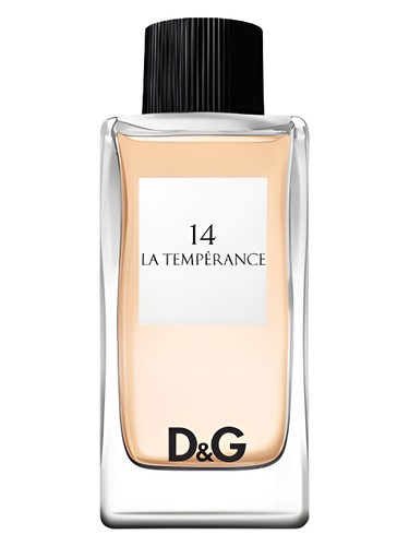 D&G Anthology La Temperance 14 by Dolce&Gabbana