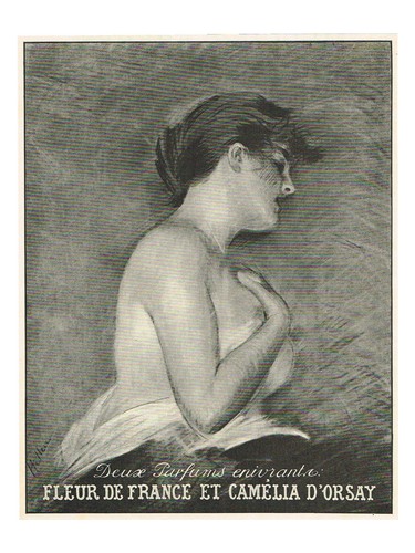 Camelia by D’ORSAY