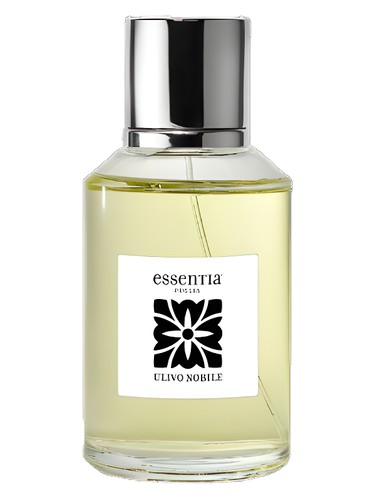 Ulivo Nobile by Essentia Puglia