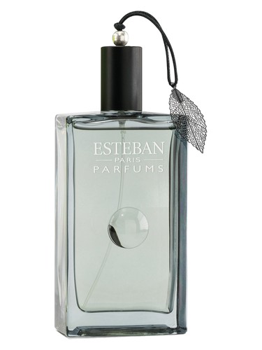 Songe de Yuzu by Esteban