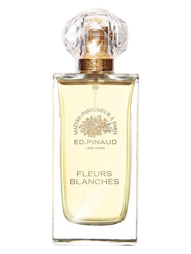 Fleurs Blanches by Ed Pinaud