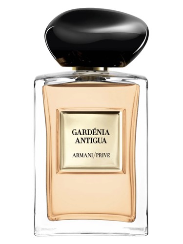 Gardénia Antigua by Giorgio Armani