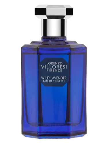 Wild Lavender by Lorenzo Villoresi
