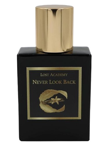 Never Look Back by Lost Academy