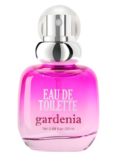 Gardenia by H&M