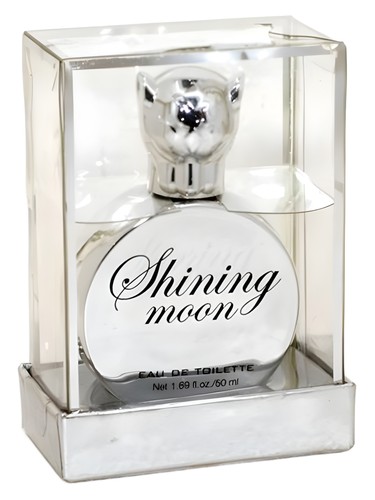 Shining Moon by H&M