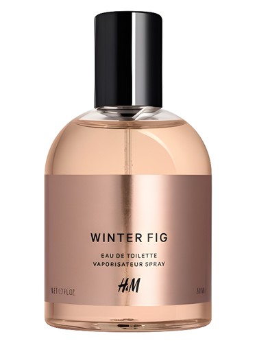 Winter Fig by H&M