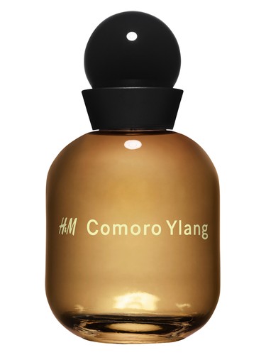 Comoro Ylang by H&M