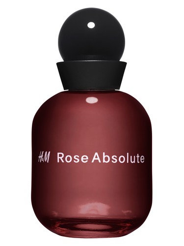 Rose Absolute by H&M