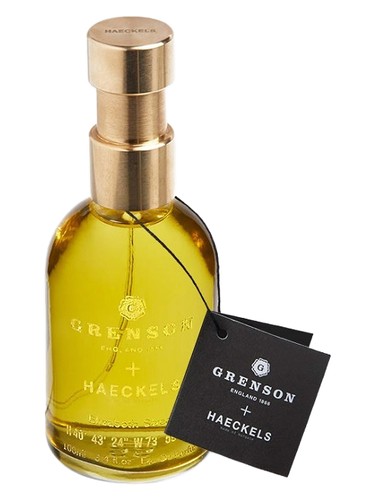 Elizabeth Street by Haeckels