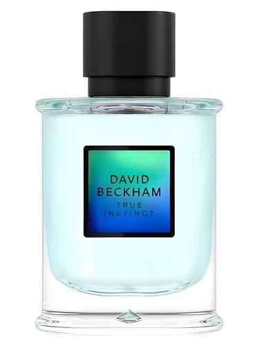 True Instinct by David Beckham