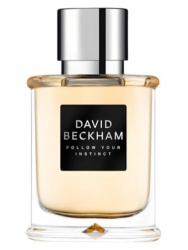 Follow Your Instinct by David Beckham