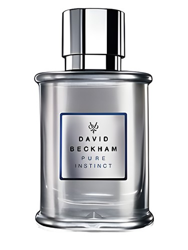 Pure Instinct by David Beckham