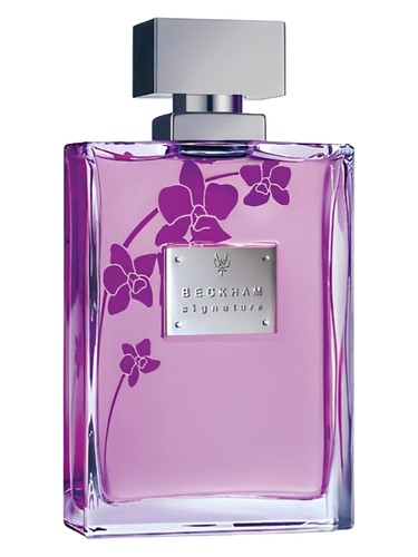 Signature for Her by David Beckham